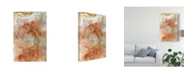 Trademark Global Jennifer Goldberger Coral Lace I Canvas Art - 20" x 25"